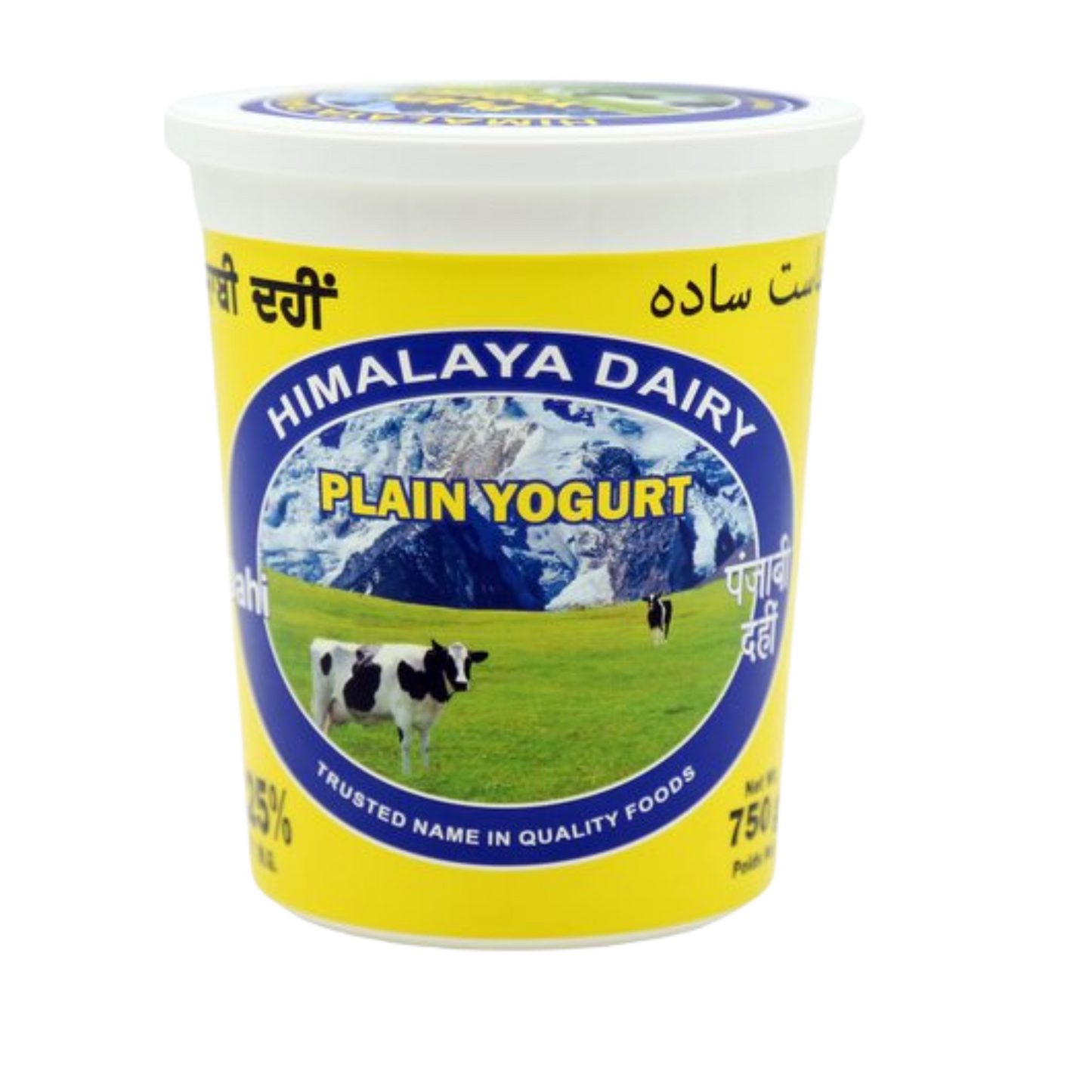 Himalaya plain yogurt