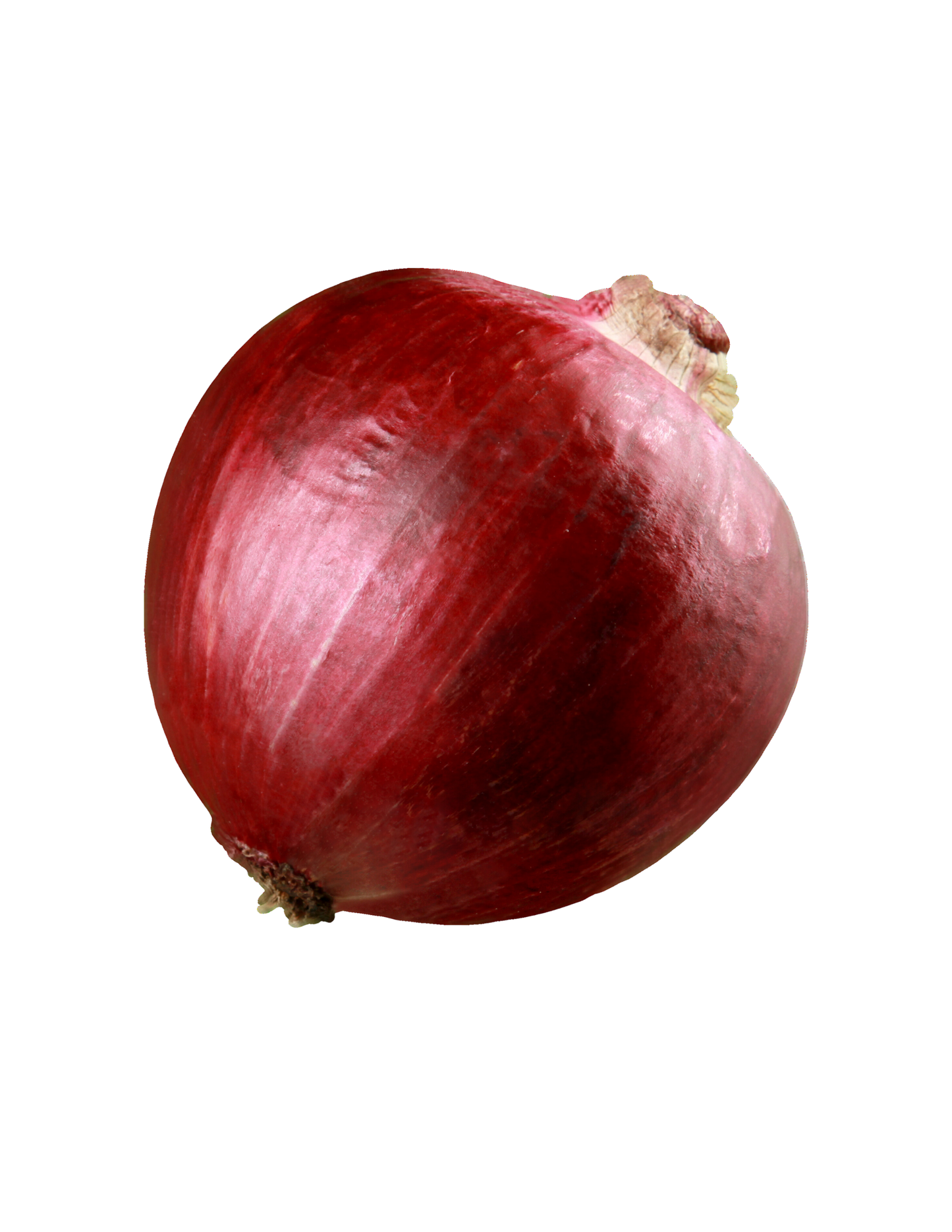 بصل أحمر