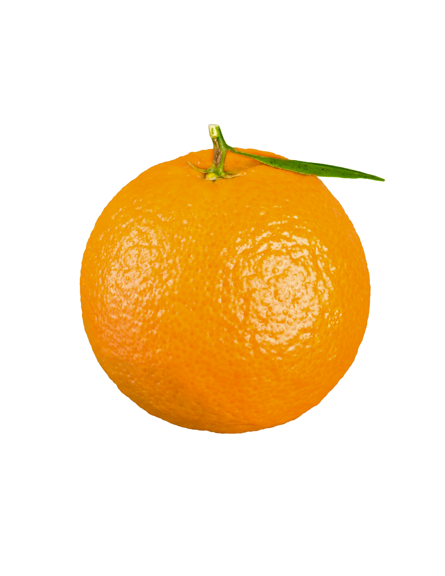 البرتقال