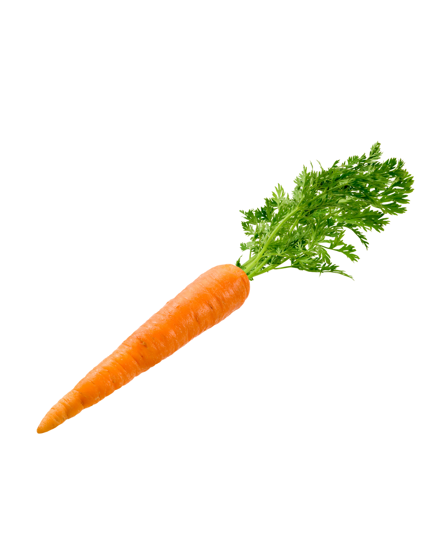 جزر