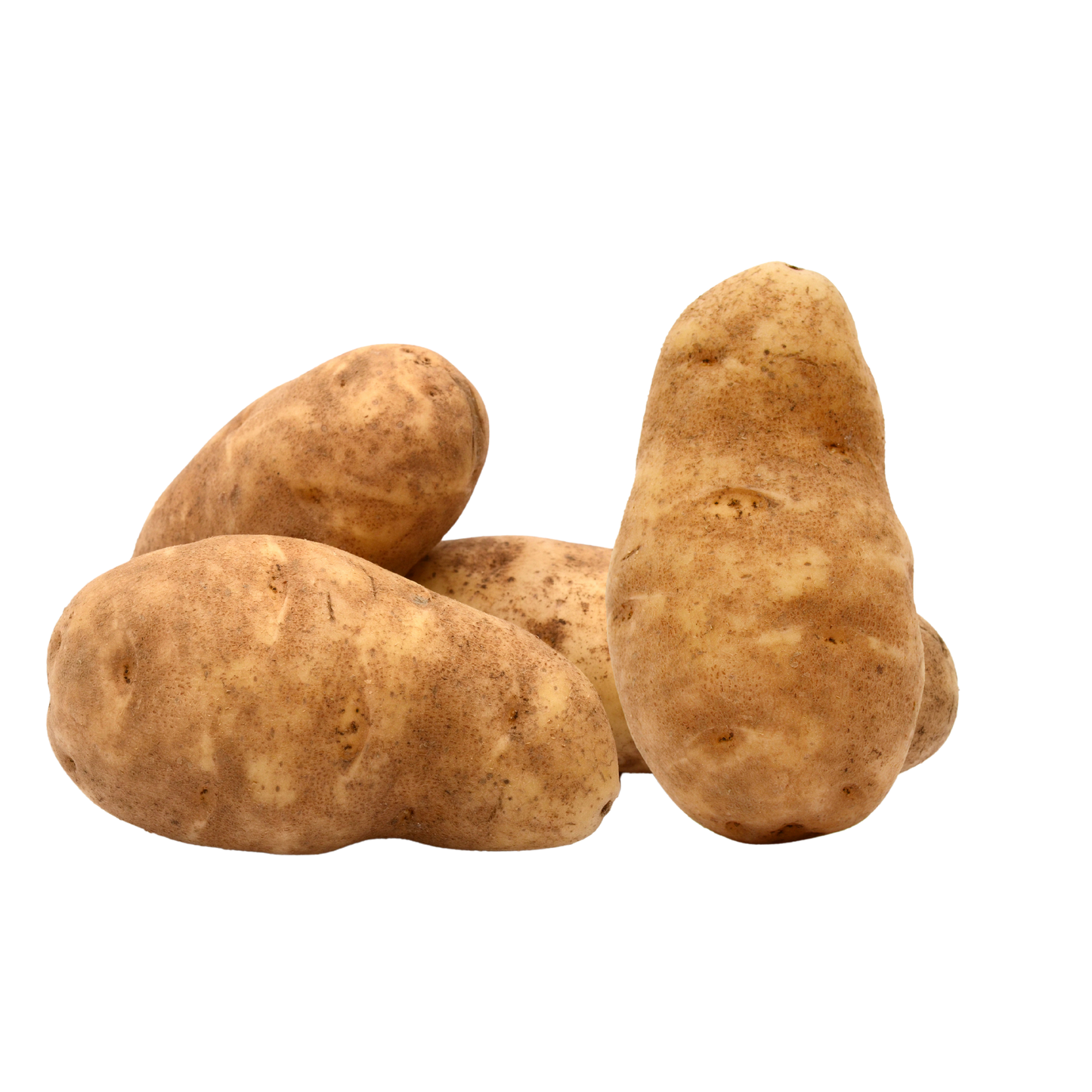 Russet potatoes 10 lb