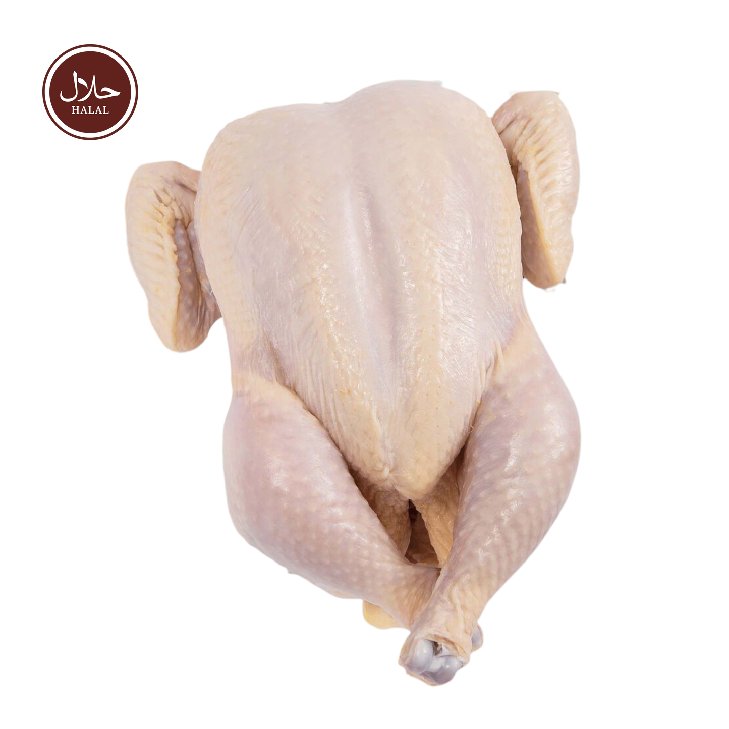 Fresh whole chicken