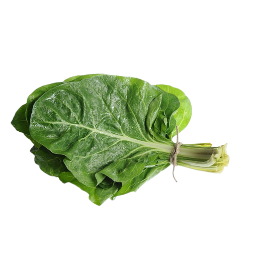 Swiss chard