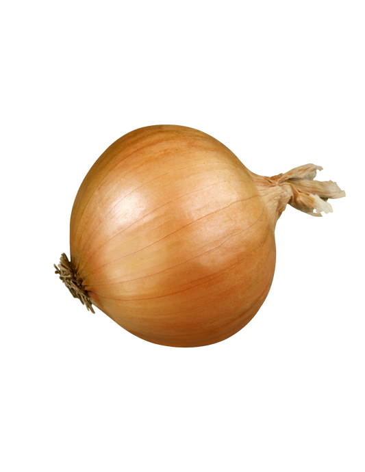 Yellow onion 2 -2.3 lb