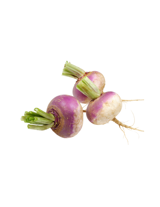 Purple turnip